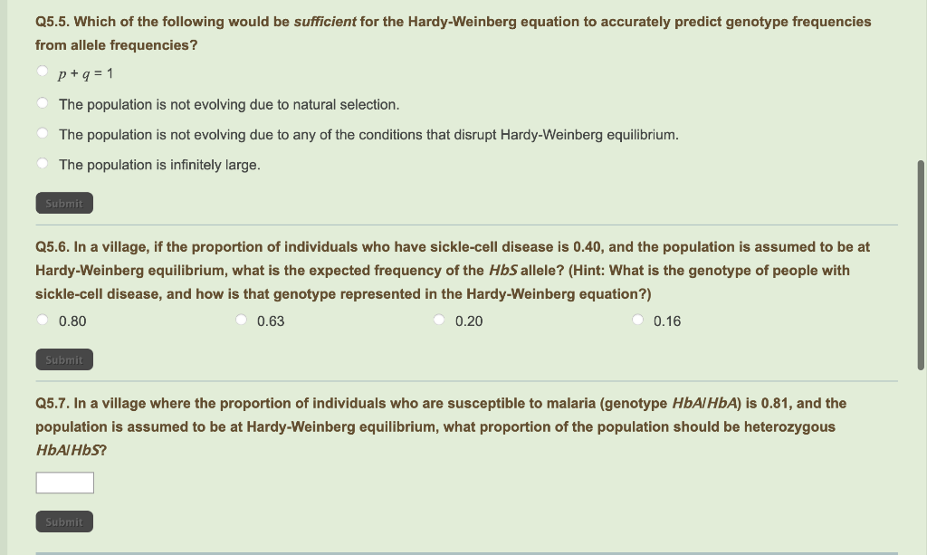 Hardy Weinberg Equation