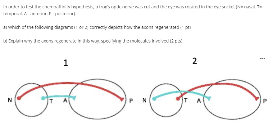 McJunkin Lab on X: Zoom journal club hack: Choose which order to go  around the table by alphabetical order of answers to ice-breaker-like  questions. For extra excitement, type them all into the