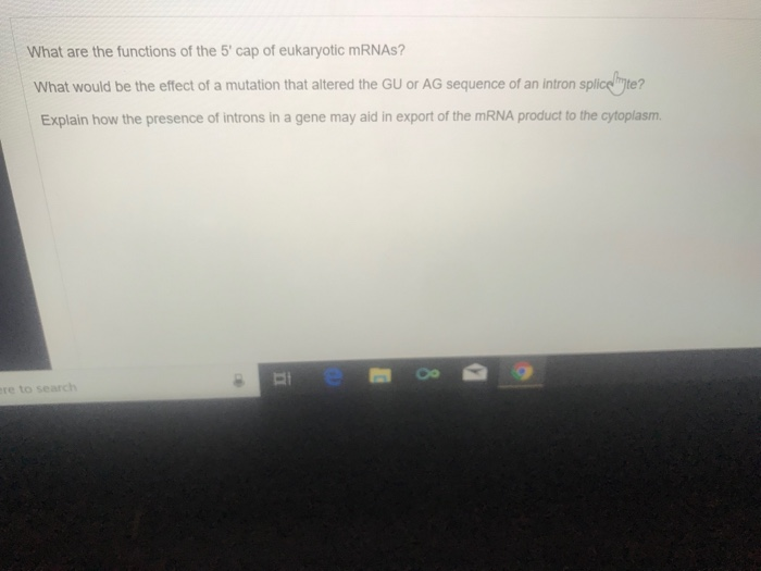 Solved What are the functions of the 5' cap of eukaryotic | Chegg.com