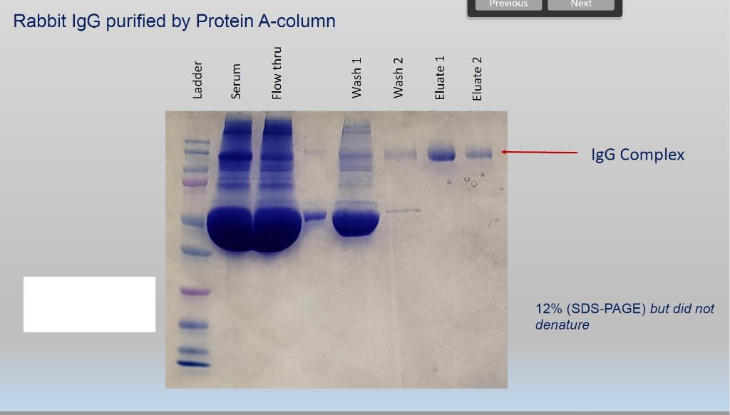 Solved When you analyzed the sample from your affinity