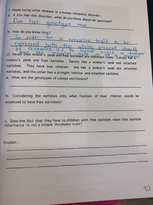1. Maple syrup urine disease is a human recessive