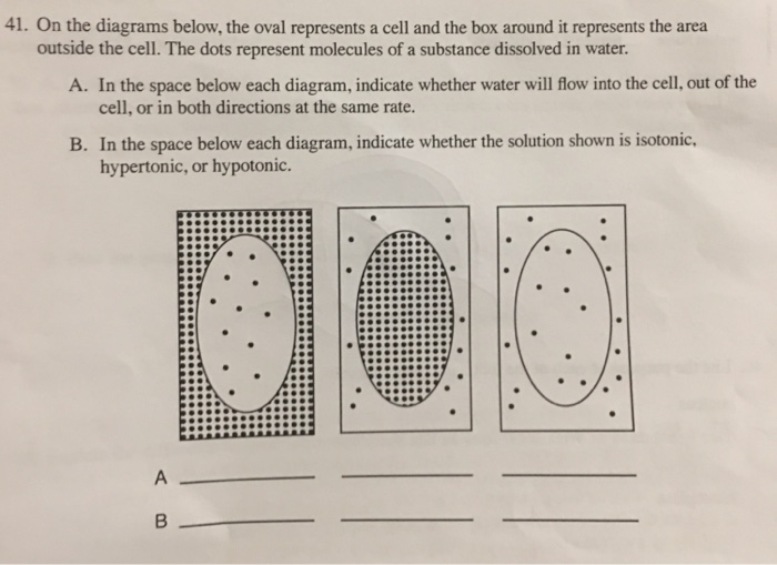 Solved 41. On the diagrams below, the oval represents a cell | Chegg.com