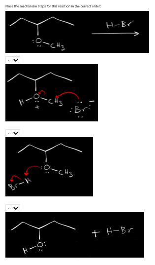Solved Place the mechanism steps for this reaction in the | Chegg.com