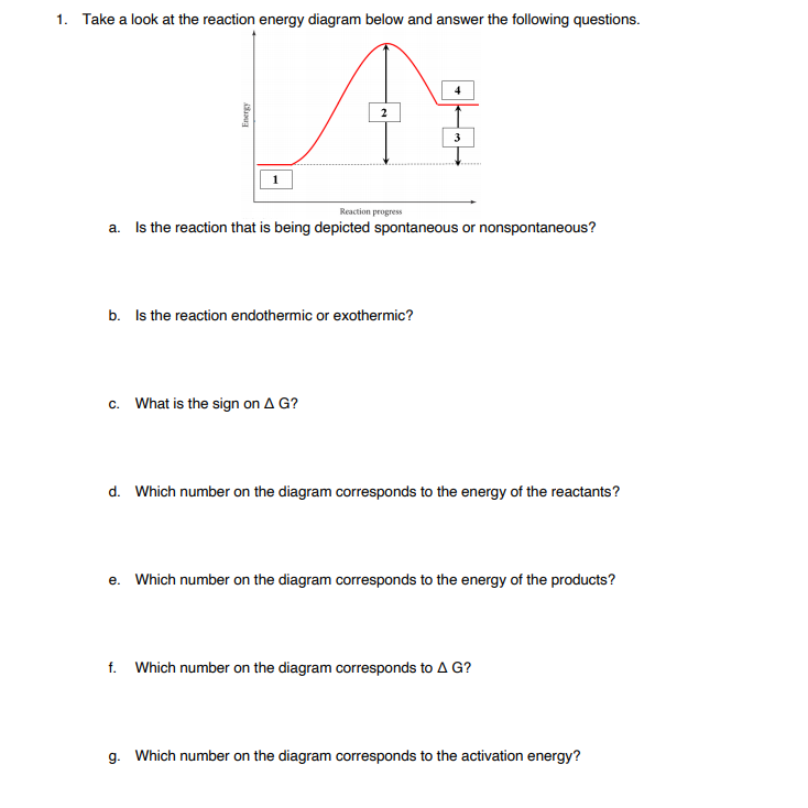 Solved 1. Take a look at the reaction energy diagram below | Chegg.com