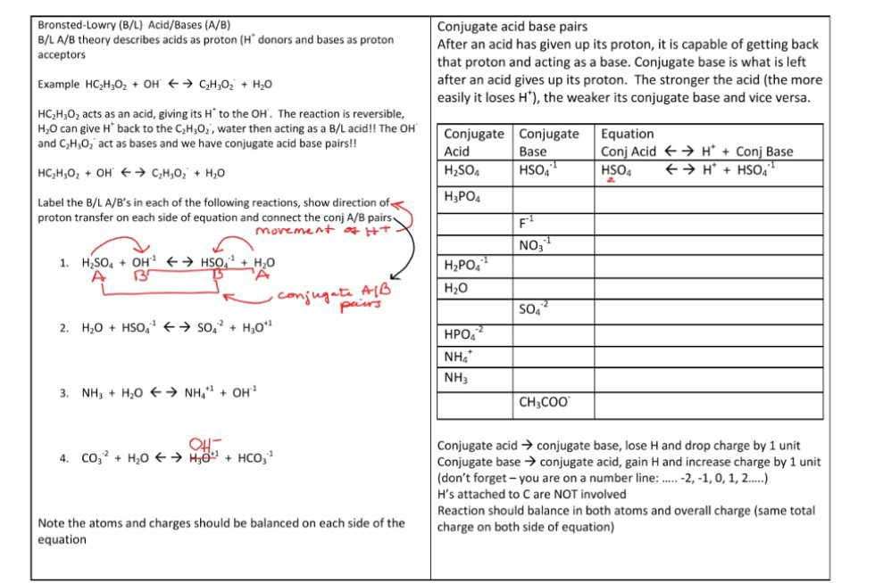 Solved BronstedLowry (B/L) Acid/Bases (A/B) B/LA/B theory