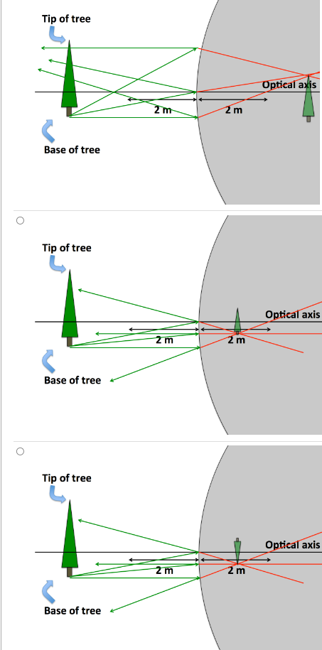 A convex mirror with a focal length of 2 m is placed | Chegg.com