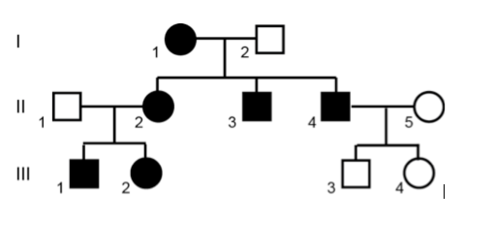 Solved A. Does this pedigree suggest mitochondrial | Chegg.com