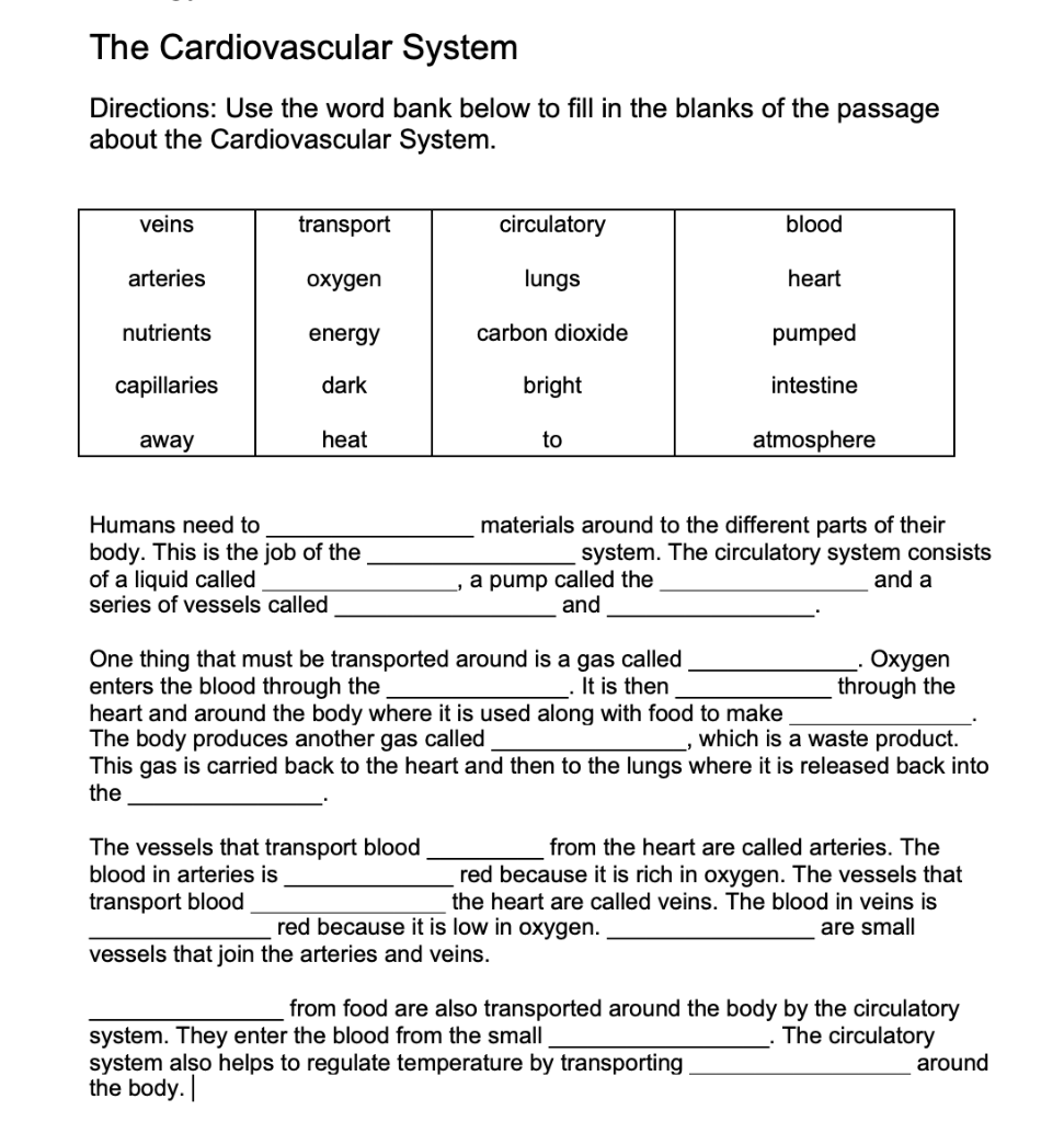 solved-the-cardiovascular-system-directions-use-the-word-chegg