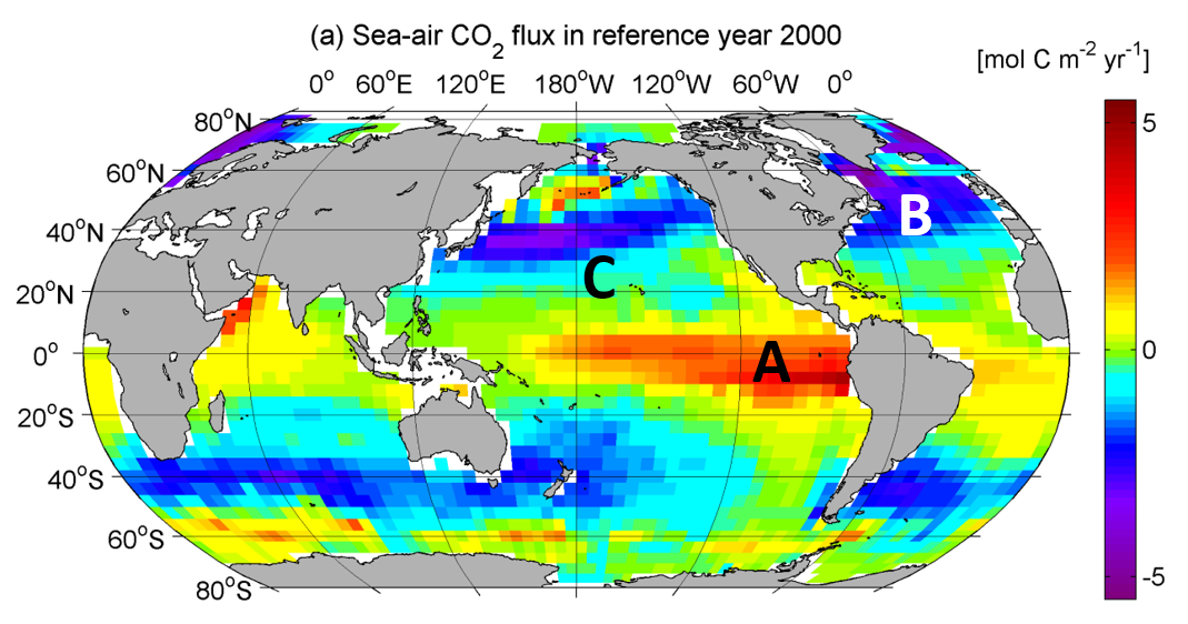 Solved What are the sites A, ﻿B, ﻿and C and is CO2 ﻿being | Chegg.com