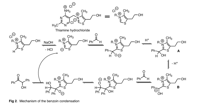 NH3 NY CH3 1 OH = ROL Haco Thiamine hydrochloride N FOH NAOH ROI Маон R ® S...