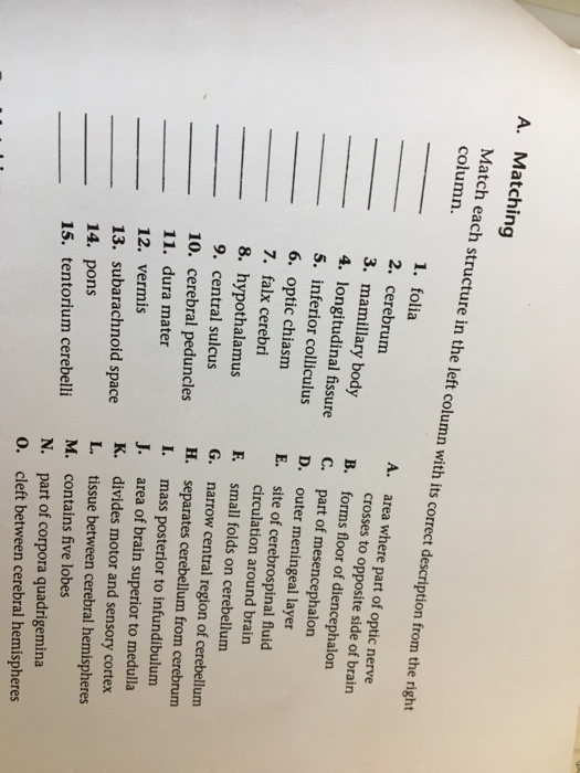 Solved A. Matching Match each structure in the left column