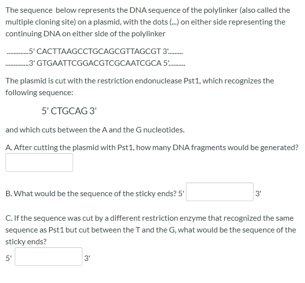 Solved The Sequence Below Represents The DNA Sequence Of The | Chegg.com