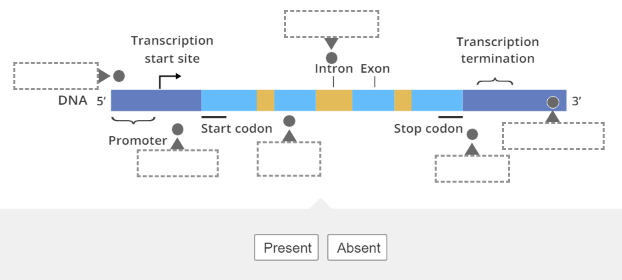 Solved Need help quickly! In the diagram below, distinguish | Chegg.com