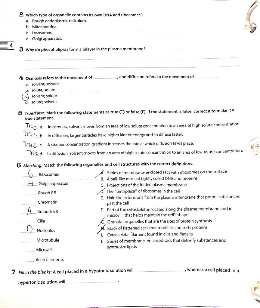 Solved 2 Which type of organelle contains its own DNA and | Chegg.com