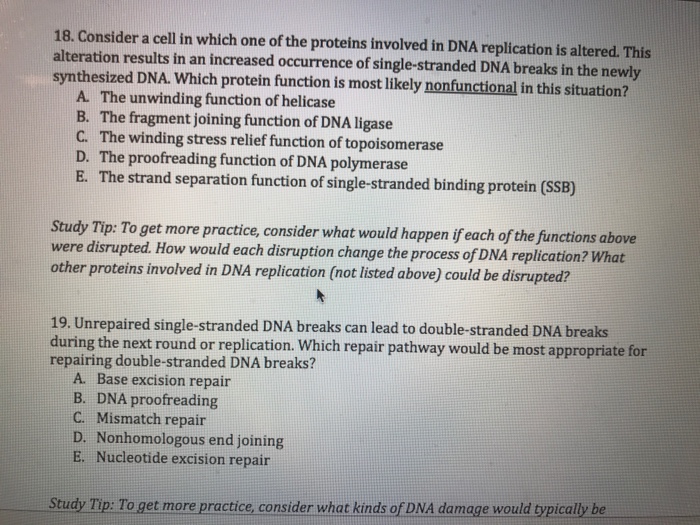 Solved [Questions 20-23] You are studying the cell cycle | Chegg.com