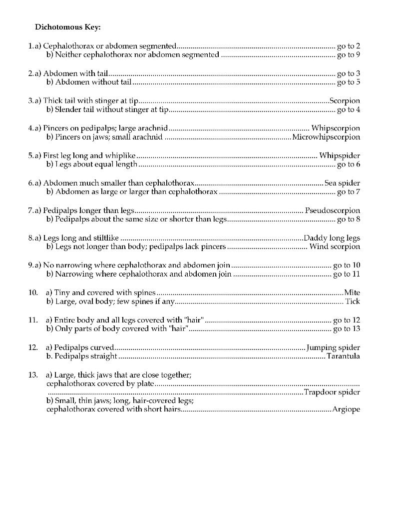 Solved Using Dichotomous Keys to identify Arachnids and