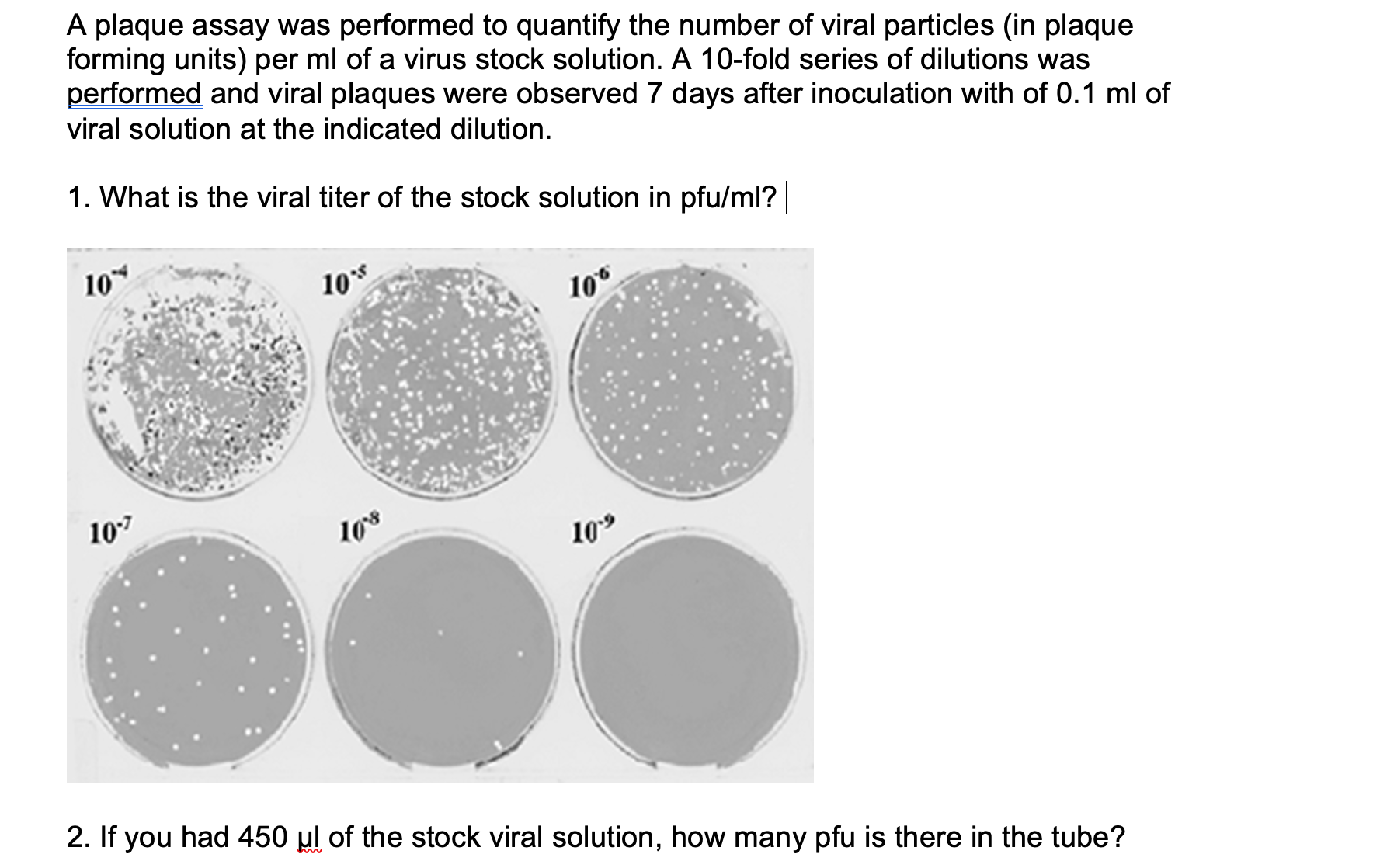 A plaque assay was performed to quantify the number