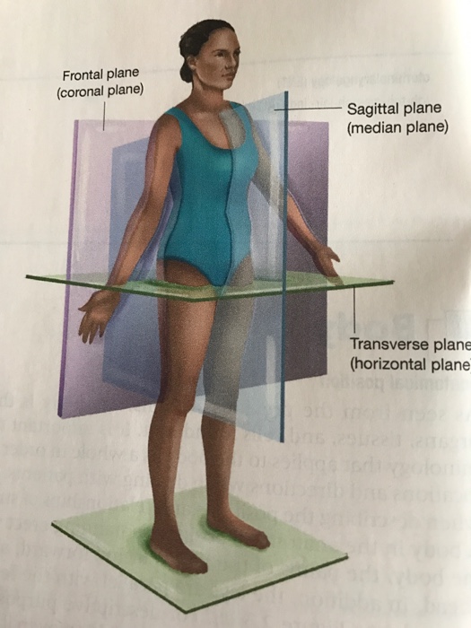 lateral plane
