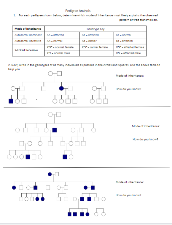 Solved Draw a Punnett square for the following cross: a Draw | Chegg.com