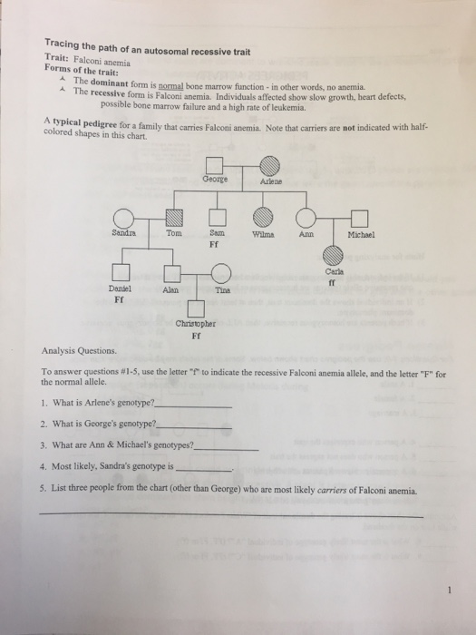 Analyzing Pedigrees Worksheet Answer Key