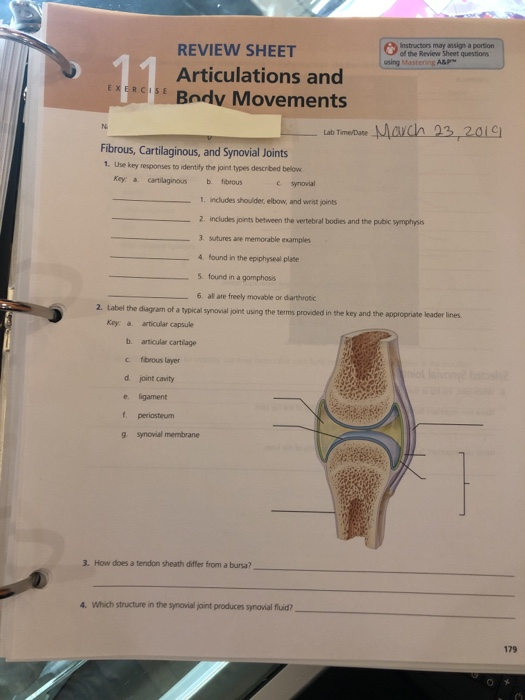 Solved L Review Sheet 10163 15. Match the t and fibula erms | Chegg.com