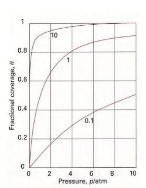 Solved Analyze And Compare The Adsorption Processes Shown In | Chegg.com