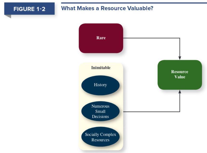 Solved Using the resourcebased view of the organization,