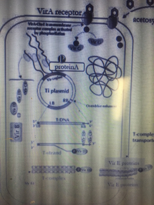 Solved #1. Use this info & diagrams to answer the 3 | Chegg.com