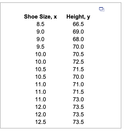 10.5 shoe size