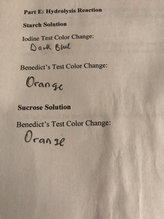 Solved Part E Hydrolysis Reaction 11. Explain the test