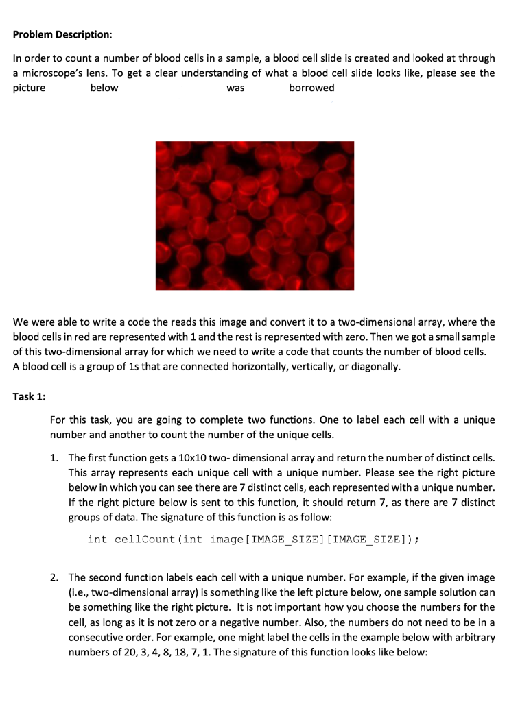 Problem description: in order to count a number of blood cells in a sample, a blood cell slide is created and looked at throu