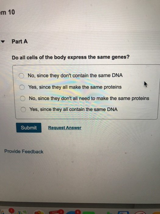 Solved m 14 Part A Nucleotide deletion in DNA replicationin | Chegg.com