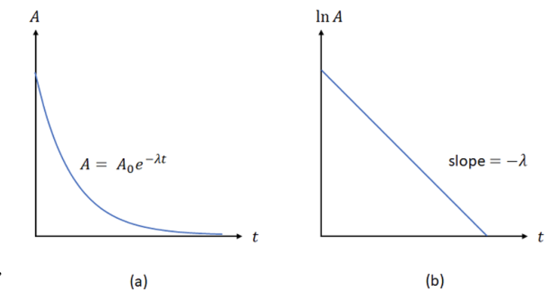 solved-problem-6-the-equation-for-the-activity-of-a-chegg