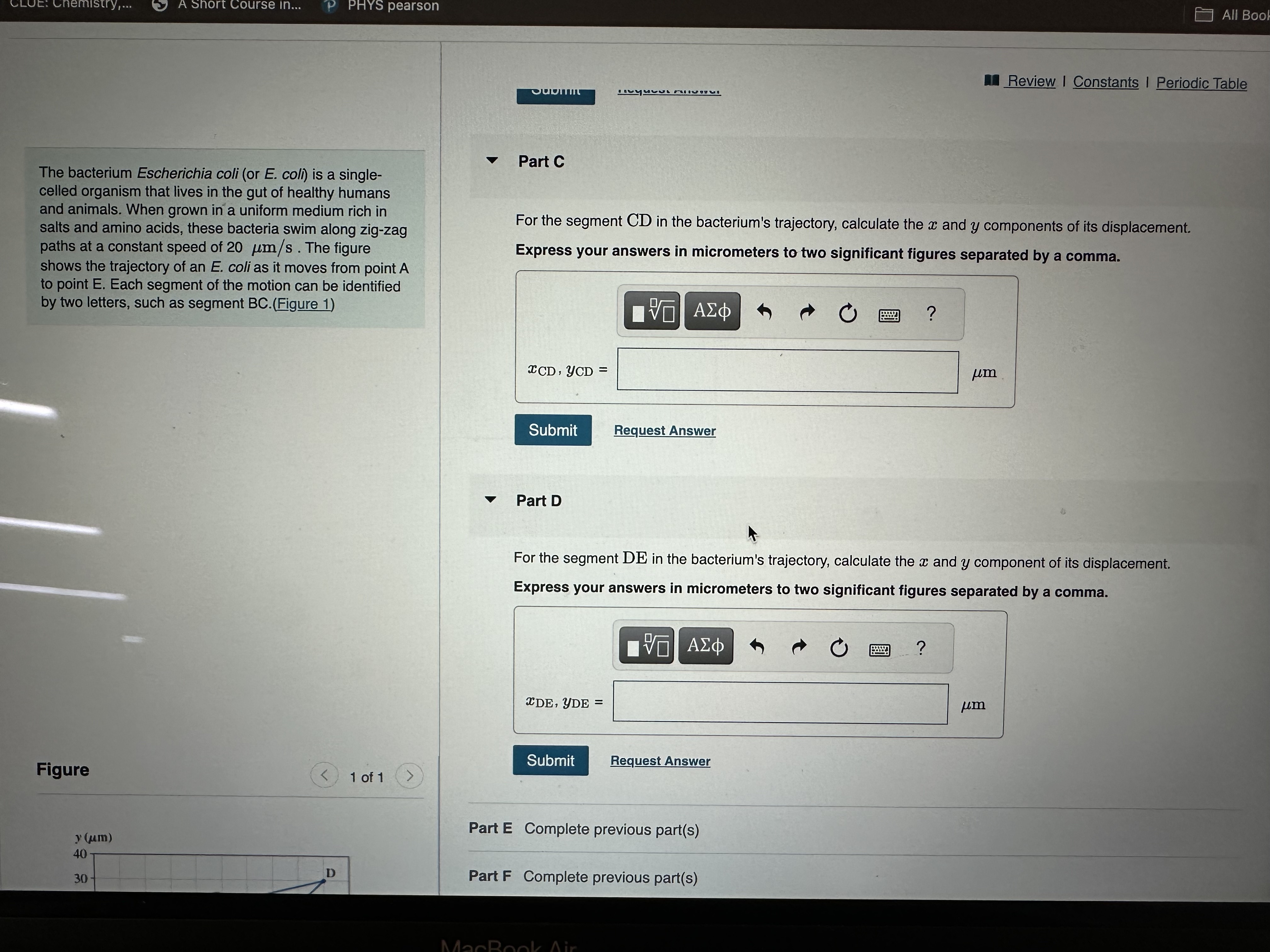 Solved The bacterium Escherichia coli (or E. coll) is a | Chegg.com