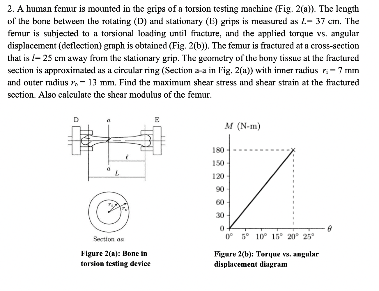 2. A human femur is mounted in the grips of a torsion testing machine (Fig. 2(a)). The length of the bone between the rotatin