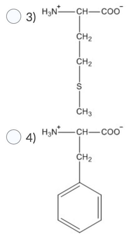 Solved Which of the following is most likely to be found in | Chegg.com