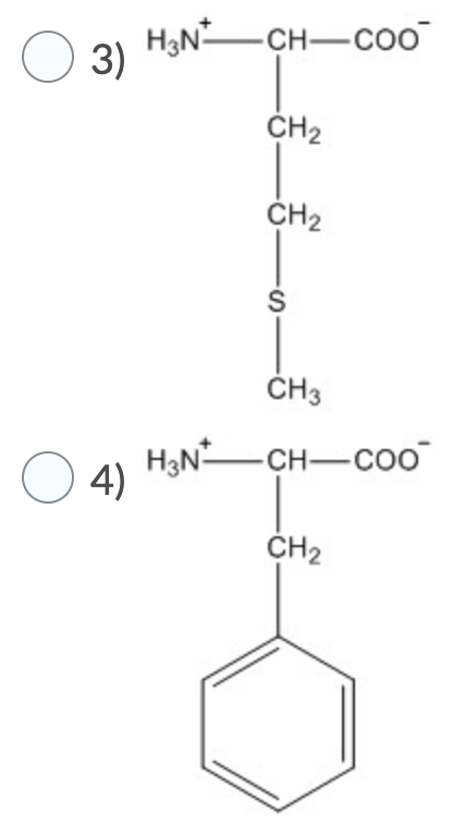 Solved Which Of The Following Is Most Likely To Be Found In | Chegg.com