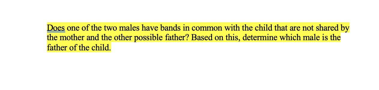 Dispute Resolution In Honduran Paternity Cases - bk0yhz5