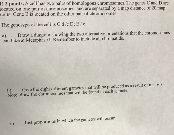 Solved 1)2 points. A cell has two pairs of homologous | Chegg.com