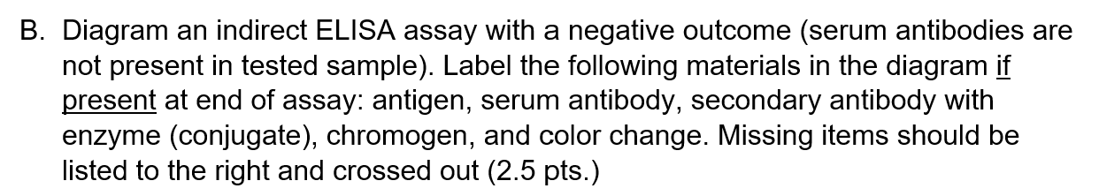 Solved B. Diagram an indirect ELISA assay with a negative | Chegg.com
