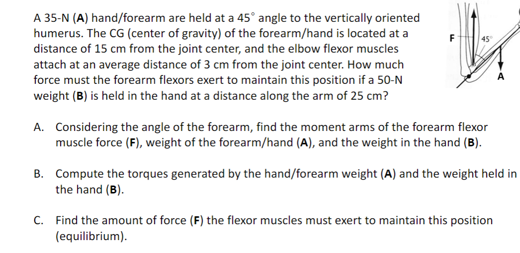 Solved F445 A 35-N (A) Hand/forearm Are Held At A 45° Angle | Chegg.com