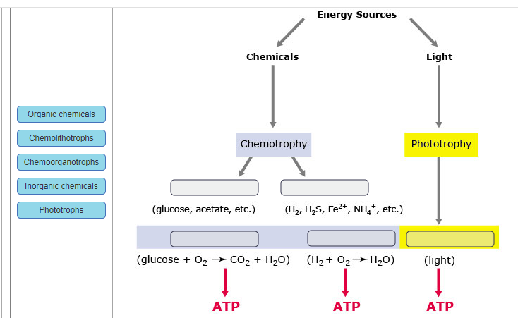 Solved a) Correctly identify and label the types of | Chegg.com