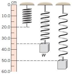 Solved Question 2. The drawing shows three identical springs | Chegg.com