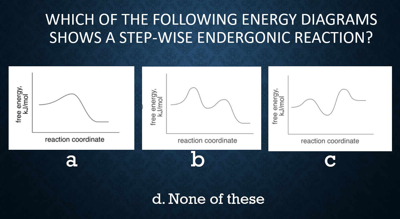 Solved WHICH OF THE FOLLOWING ENERGY DIAGRAMS SHOWS A | Chegg.com