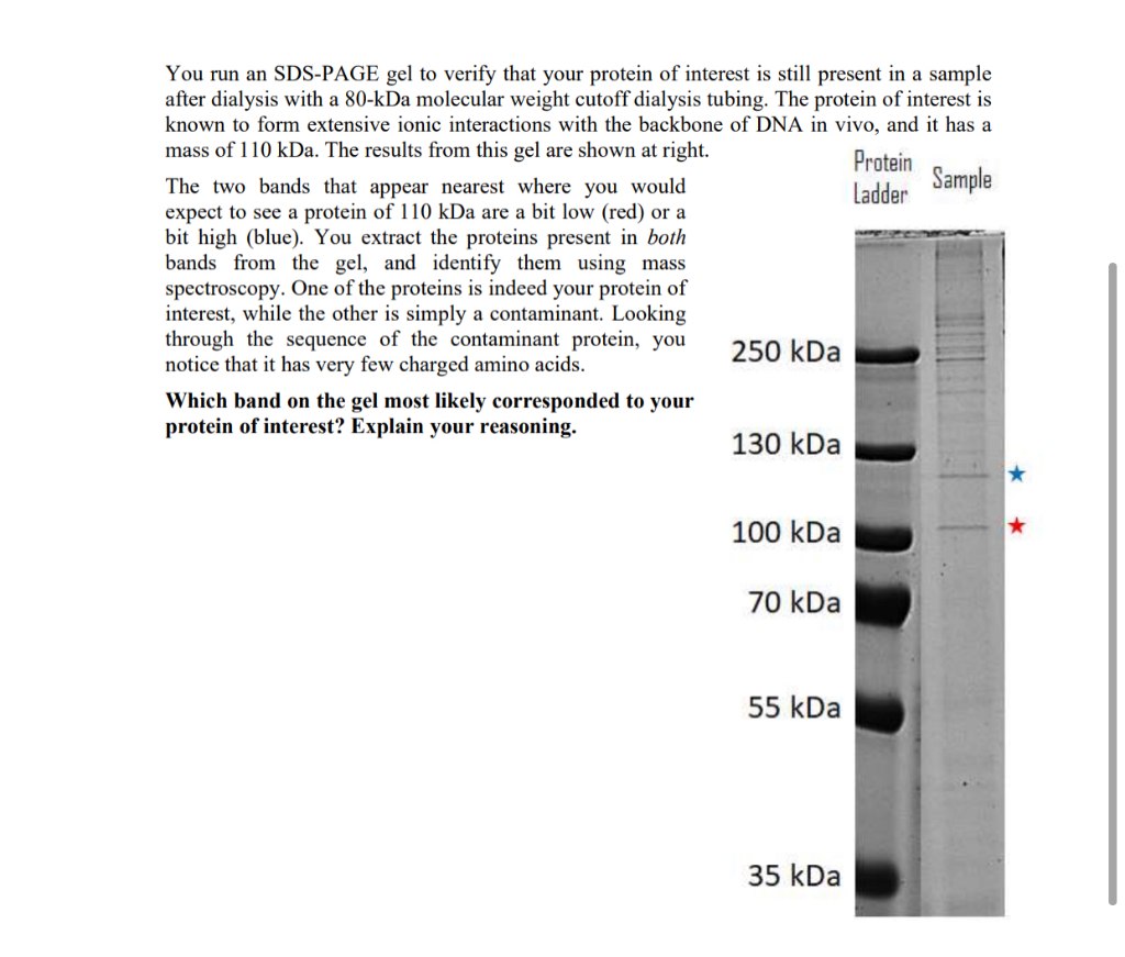 Solved Ladder Sample You Run An SDS-PAGE Gel To Verify That, 41% OFF