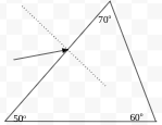 what happens when monochromatic light is incident on a prism