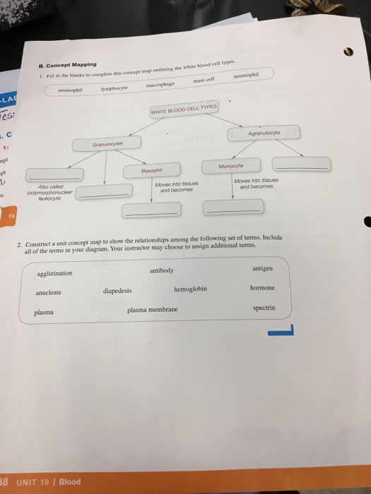 Solved B. Concept Mapping I. Fili in the blanks to complete | Chegg.com