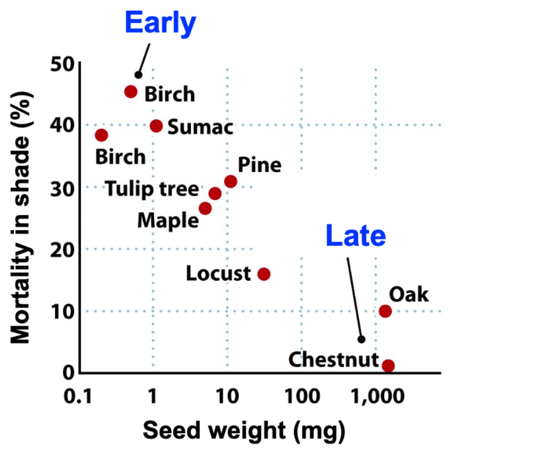 Lippincott seeds : 1914 . gorous growth and pro-ducing heads of  flowersdouble the size of the oldsort. Pkt., 200 seeds, 5c. FEVERFEW.  DOUBLE, 3IATRICARIAE X I M I A—A fine old-fashioned bedding