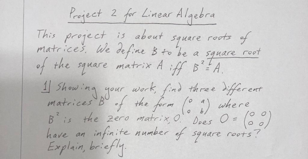 Solved square rests of Project 2 for Linear Algebra This | Chegg.com