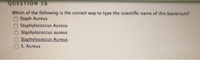 solved-question-16-which-of-the-following-is-the-correct-way-chegg